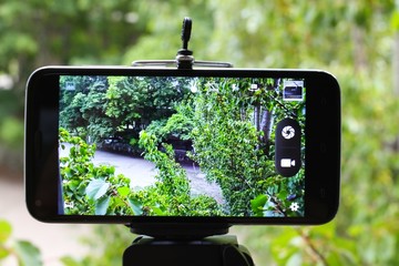 Smartphone taking pictures of nature