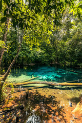 Emmerald pool, oasis al norte de Krabi, Tailandia