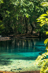 Emmerald pool, oasis al norte de Krabi, Tailandia