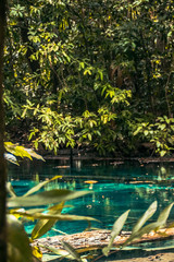 Emmerald pool, oasis al norte de Krabi, Tailandia
