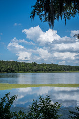 Florida Lake  - 220819848