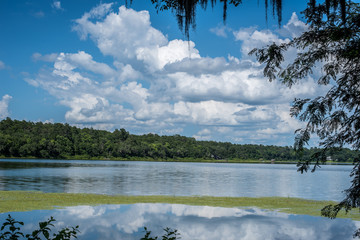 Florida Lake 