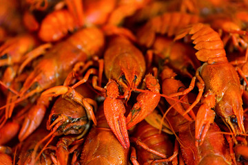 Tasty red boiled crayfish close up background