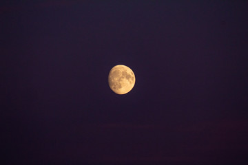 Orange Moon in a Dark Purple Sky