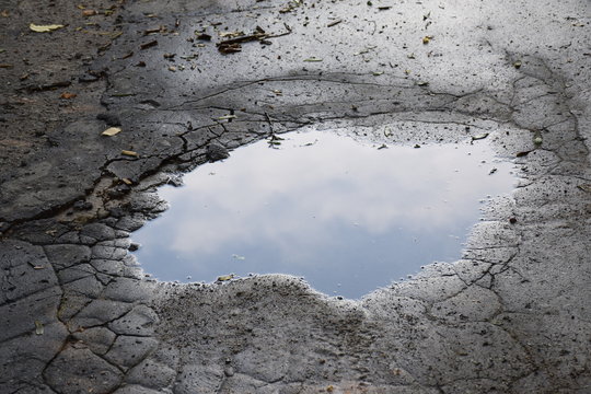 Pozzanghera anatra coppia su roccia