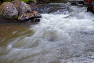 Forest stream running over mossy rocks.