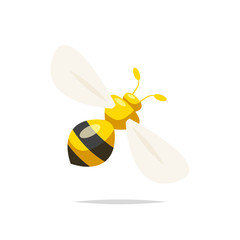 Wasp vector isolated