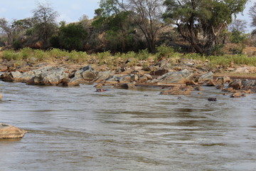 River and skyline in Tsavo natural park in Kenya in Africa