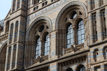  Large gothic windows of the London Museum of Natural Sciences, placed on a light and blue brick wall with the presence of some gargoyles