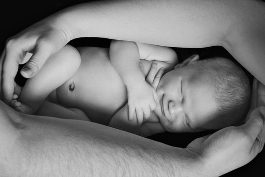 portrait of newborn baby lying on the hands of parents