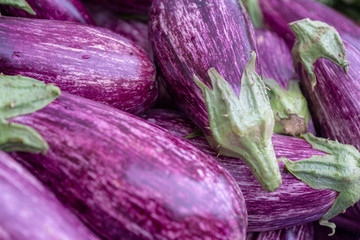 Fresh Purple Eggplant