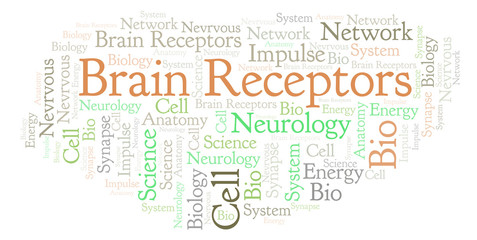 Brain Receptors word cloud.