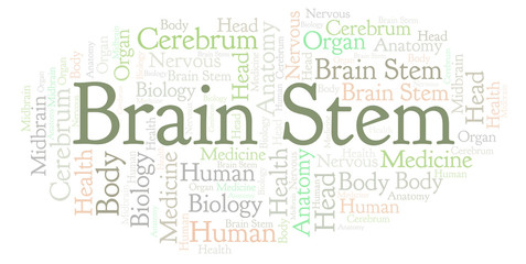 Fototapeta premium Brain Stem word cloud.