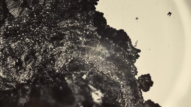 Salt, sugar and soda filmed under a microscope