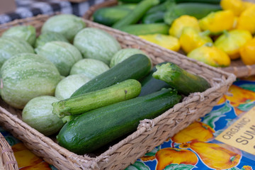 Fresh Organic Zucchini