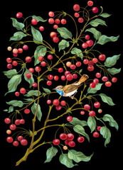  Cherry tree with berries and bird. Isolated on black background..