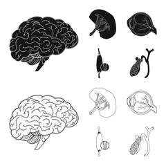 Vector illustration of body and human logo. Set of body and medical stock symbol for web.