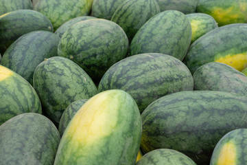 Fresh Ripe Watermelons