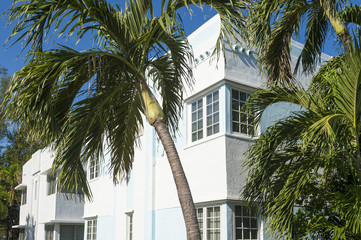 Typical pastel-colorfed 1930s Art Deco architecture with palm trees in Miami, Florida