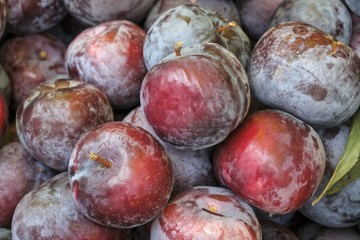 ripe healthy plum for snack
