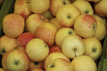 apple at the grocery