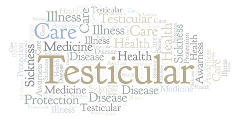Fototapeta premium Testicular word cloud.