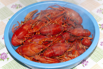 Boiled freshwater crawfish, red, close-up
