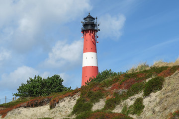 Fototapeta na wymiar Red white striped lighthouse at seaside on sunny day | Huge lighthouse located in overgrown sand dunes | Sylt, Germany 