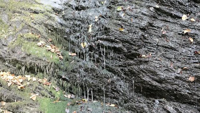 Waterfall of Dorte stream at Dortebachtal valley at Moselle river. (Germany)