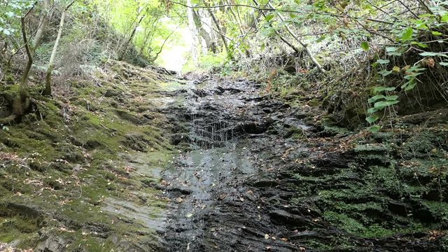 Waterfall of Dorte stream at Dortebachtal valley at Moselle river. (Germany)