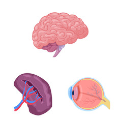 Vector design of body and human icon. Collection of body and medical vector icon for stock.