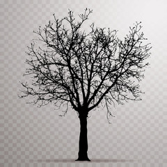 Tree 5833