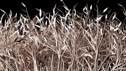 Gold flower paper and grass. 3d illustration, 3d rendering.