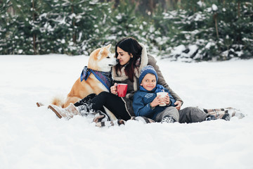 Fototapeta na wymiar Little child and mom plays with funny Akita-inu dog in a winter park. Christmas happy family,mother and son walking with dog lying on snow in winter day. Drinking hot coffee or tea on snowy winter