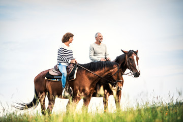 A senior couple riding horses in nature.