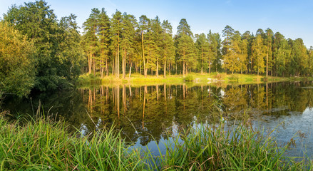 осенняя панорама с прудом и соснами на берегу, Россия Урал, сентябрь © 7ynp100