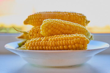Boiled corn on a plate shot close-up