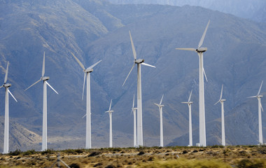 low desert wind farm