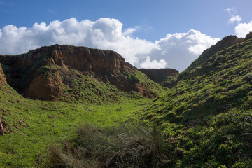 Landscape of hills covered with grass