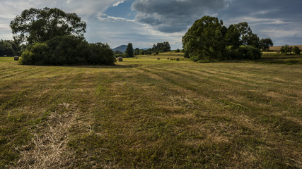 Nature landscape meadows and draws. The free place on the grass.