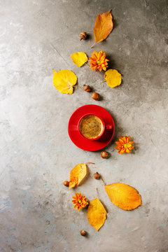 Red cup of black coffee with foam decorated by yellow autumn leaves, aster flowers and acorns over grey texture background. Flat lay, space. Seasonal background.
