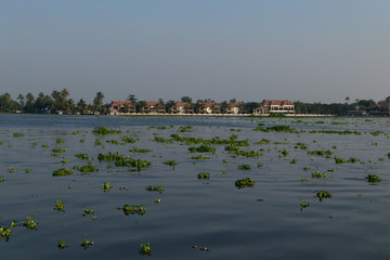 Alleppey river view from house boat tour 