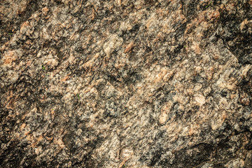 Home construction planning and design for earth tone walls and floors using natural stone and rock for building materials.