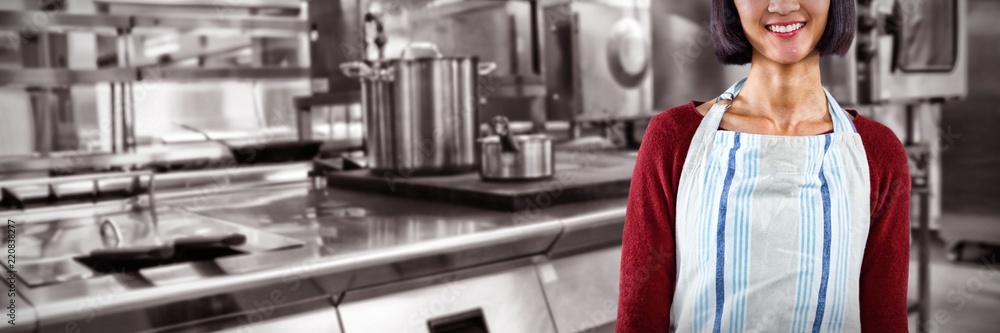 Poster composite image of smiling waitress in apron standing against
