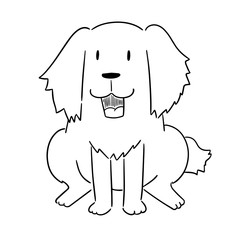 vector of dog, golden retriever