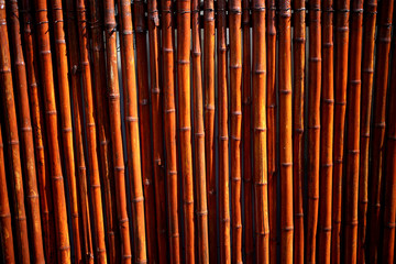Bamboo stick fence in Buenos Aires, Argentina