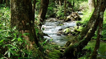 Japanische Alpen nahe Kamakochi am Azusa Fluß