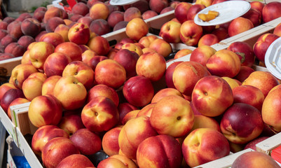 boxes of peaches on the market