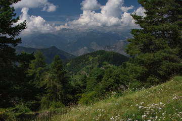 Fototapeta na wymiar Valle Argentina, Monte Saccarello - Liguria (Italia)