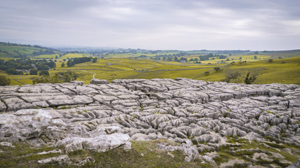 Cliff Rocks